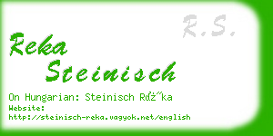 reka steinisch business card